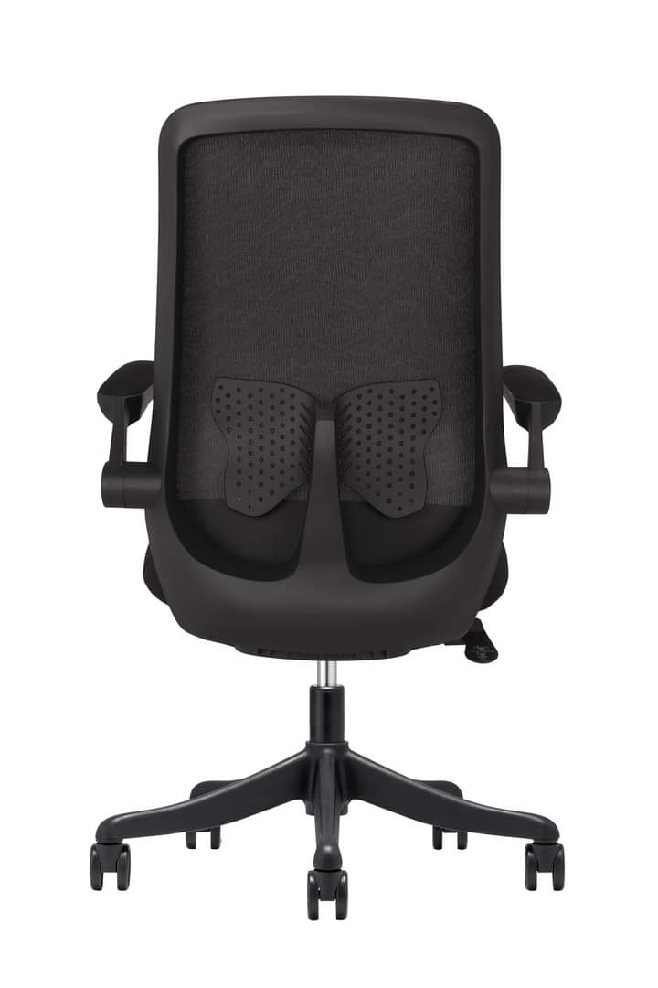 Model Name: RK-OC-312 Premium Mid Back Executive Chair thumbnail 2