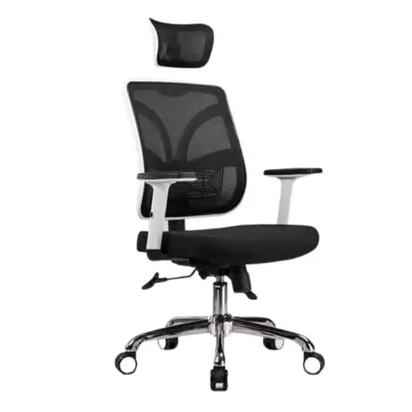 RK-P716 – High Back Mesh Ergonomic Revolving Chair | Adjustable Headrest & Lumbar Support  