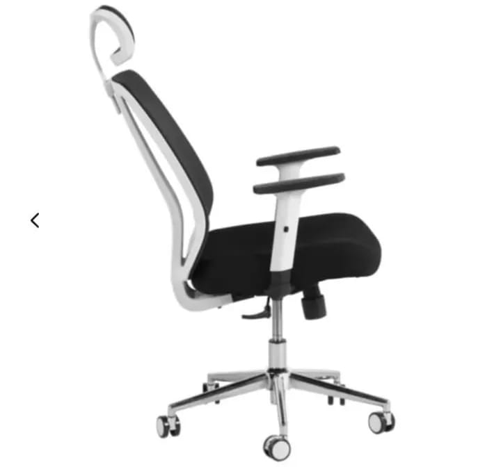 RK-P718 – High Back Mesh Executive Revolving Chair | Adjustable Headrest & Chrome Base   thumbnail 2